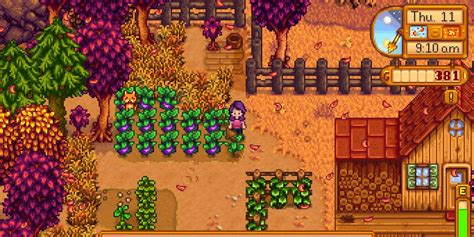 how to get casino stardew|Stardew Valley: Everything You Need To Know About The .